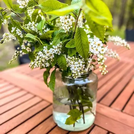 Mazury Linowo - Z Basenami Feriehus Linowo (Szczytno)