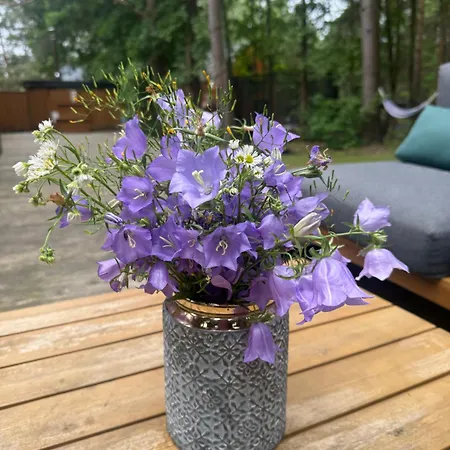 Mazury Linowo - Z Basenami Feriehus *